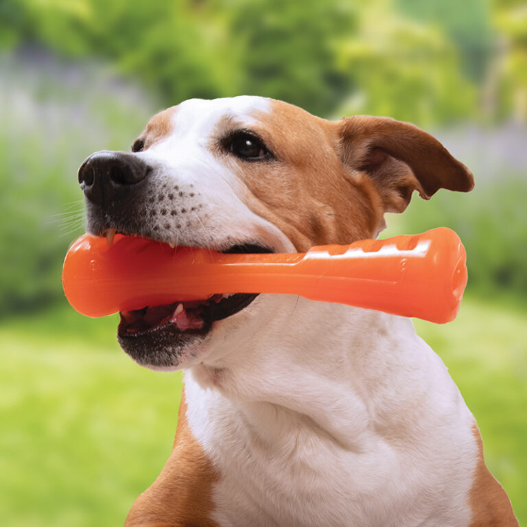 URBAN STICK BIONIC® Dog Toys