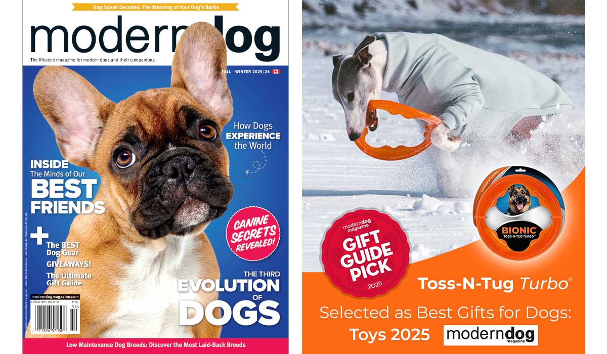 Best Gifts for Dogs: Toys 2025