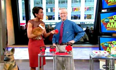 good morning america Good Morning America - BIONIC